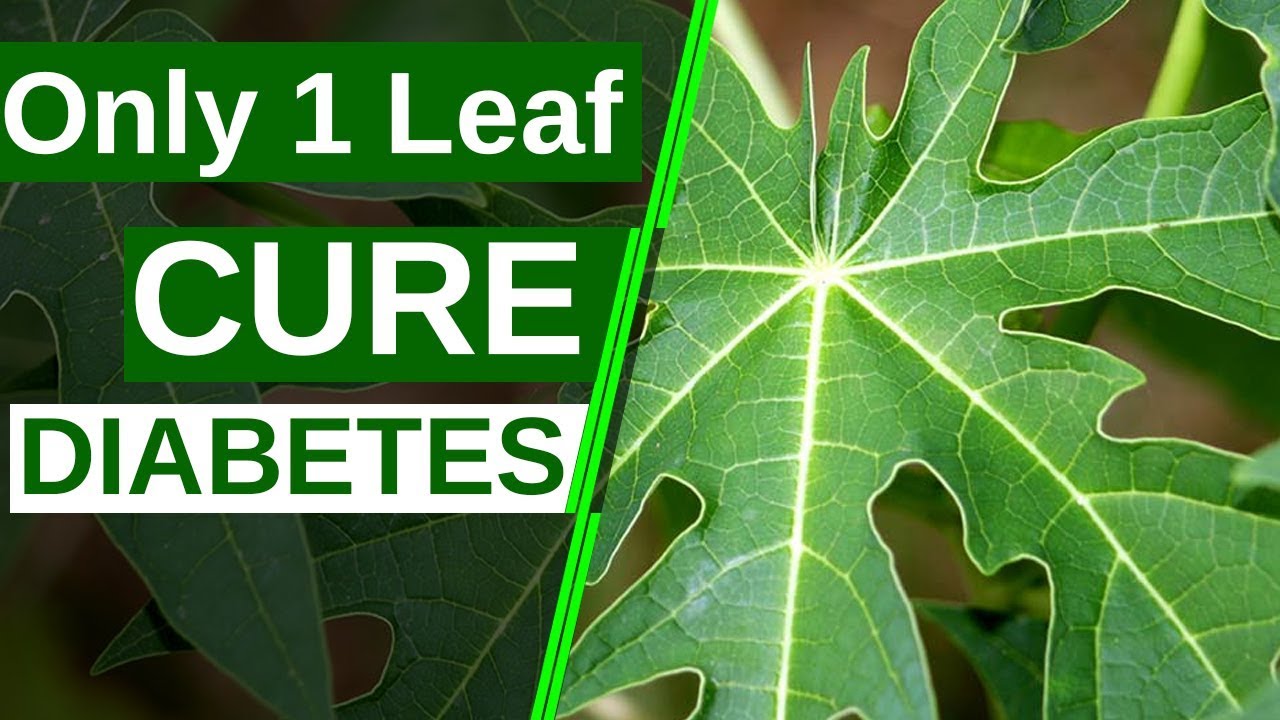 Only 1 Leaf To Cure Diabetes Permanently | Say Goodbye To Diabetes | Health Tips