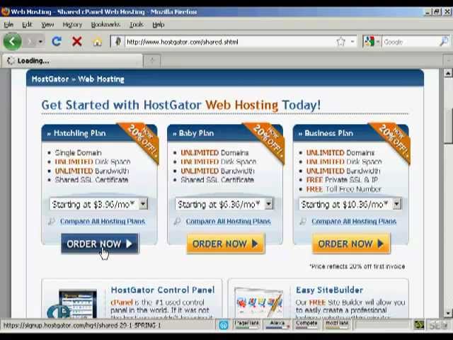 How to start a online business: web hosting!